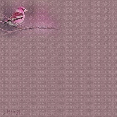 bg-pink-bird - Free PNG