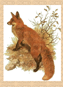 fox - Безплатен анимиран GIF