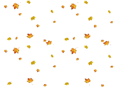 deco autumn automne leaves feuilles - GIF animado gratis