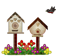 birdhouse - GIF animasi gratis