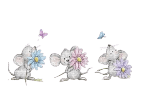 souris et fleurs - kostenlos png