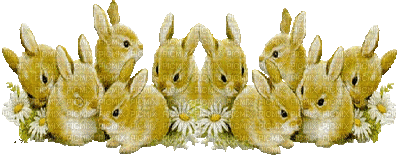 lapins gif easter bunny - Nemokamas animacinis gif