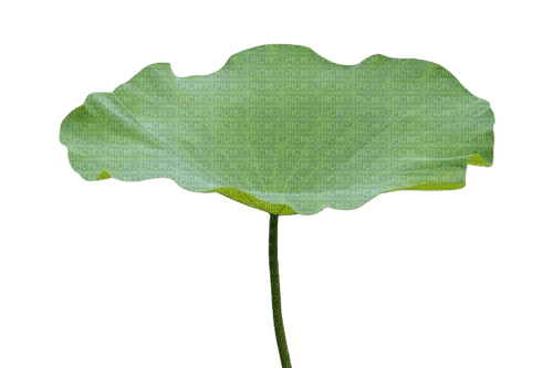 Lotus leaf - png ฟรี