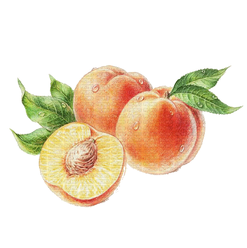 peach, summer, orange, fruit, pêche - Animovaný GIF zadarmo