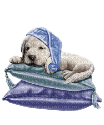 Kaz_Creations Dogs Dog Pup 🐶Colours - ingyenes png