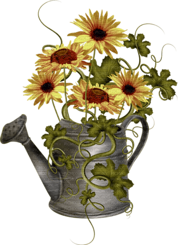 Bloemen en planten - png gratuito