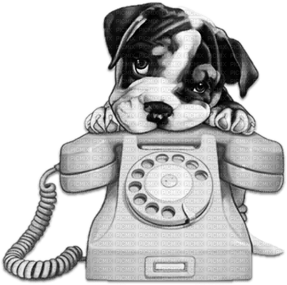 soave dog phone deco black white - nemokama png