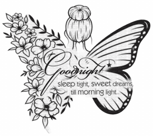 Goodnight fairy - PNG gratuit