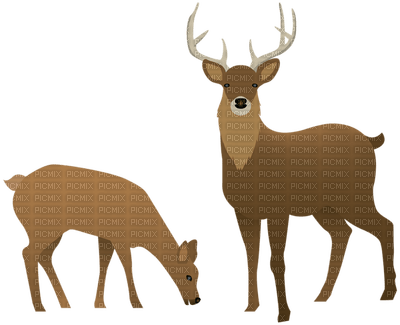 deers - ingyenes png