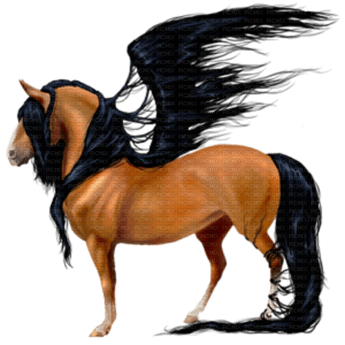 Kaz_Creations Pegasus - Free PNG