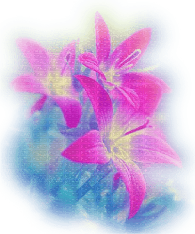 Blume flowers - 無料png