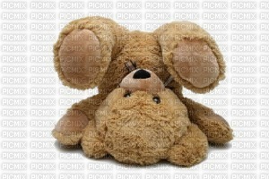 petit ours - zdarma png