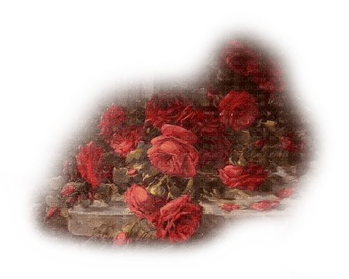 rosas rojas  dubravka4 - PNG gratuit