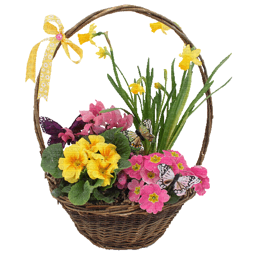 Frühling, Blumen, Korb, Flowers - GIF เคลื่อนไหวฟรี