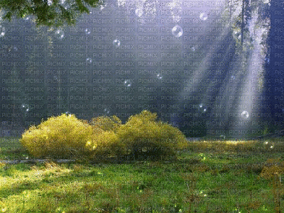 Kaz_Creations Animated  Backgrounds Background Bubbles - Zdarma animovaný GIF