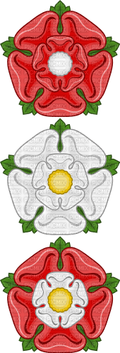 Rose de Lancaster, de York et Tudor - PNG gratuit
