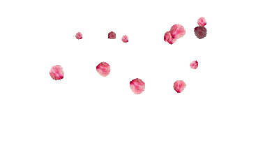 лепестки роз - GIF animado grátis