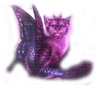 Y.A.M._Fantasy cat purple - darmowe png