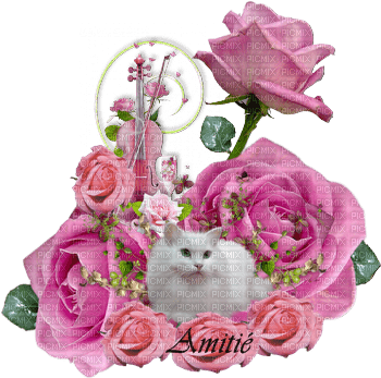 chat avec des roses - zdarma png