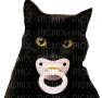 binky cat - 無料png