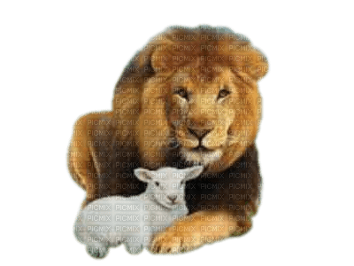 The Lion and the Lamb bp - бесплатно png