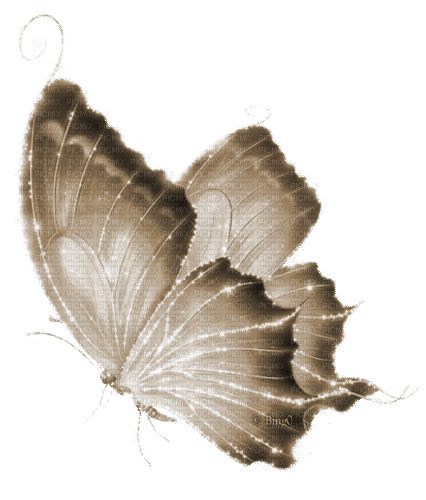 Y.A.M._Fantasy butterfly sepia - GIF เคลื่อนไหวฟรี