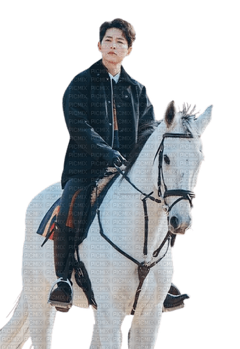 korean man horse rider - zdarma png