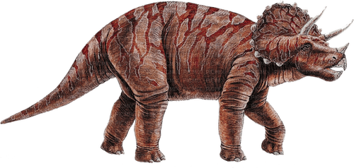 Triceratops milla1959 - PNG gratuit