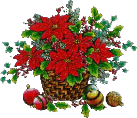 Christmas Flower - Bezmaksas animēts GIF