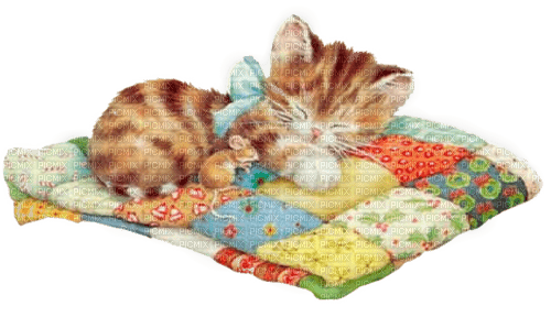 dolceluna pastel cute cat sleep sleeping spring - 免费PNG