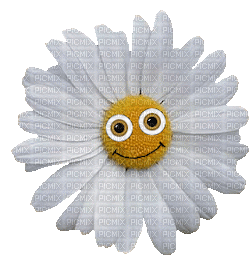 flower face - Ingyenes animált GIF
