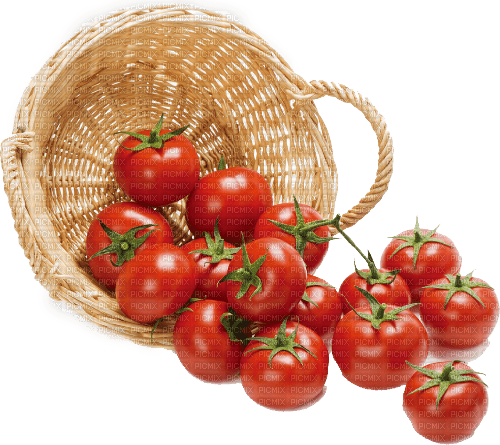 nbl-tomato - 免费PNG