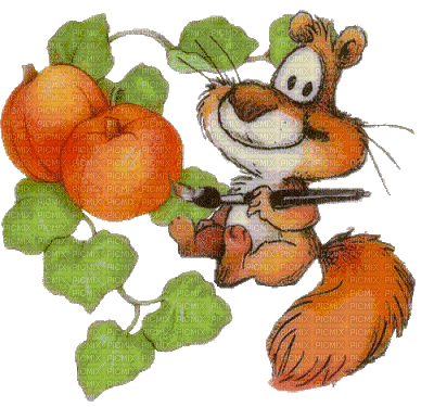 squirrel eichhörnchen écureuil animal garden jardin autumn automne herbst tube forest gif anime animated animation pumpkin fun - GIF เคลื่อนไหวฟรี