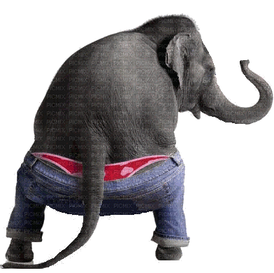 Elefante sexi - Бесплатный анимированный гифка