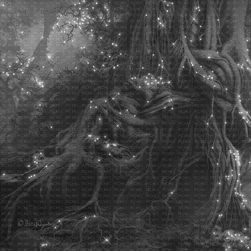 Y.A.M._Fantasy forest background black-white - Ingyenes animált GIF