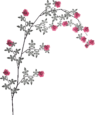 soave deco animated branch flowers rose black - Free animated GIF