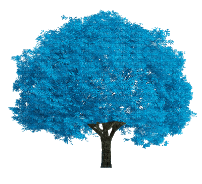 arbre bleu blauer Baum - Бесплатный анимированный гифка