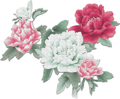 soave deco flowers branch oriental spring pink - Free PNG