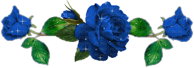 синие розы - Zdarma animovaný GIF