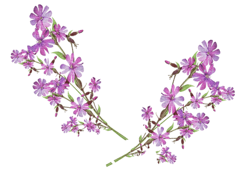 set-lila-grön-blomma - 免费PNG