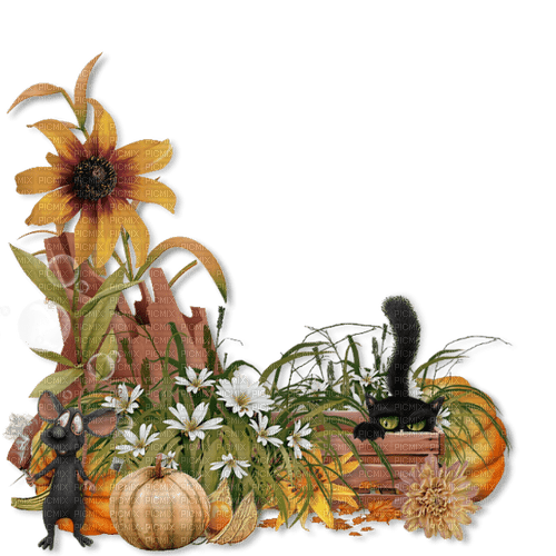 autumn flower deco cat - PNG gratuit