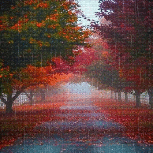 autumn background - Darmowy animowany GIF