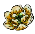 nbl-flower - бесплатно png
