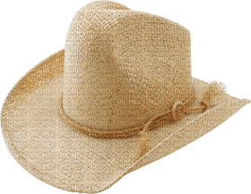 Kaz_Creations Hat - 免费PNG