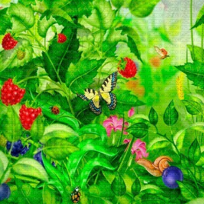 Y.A.M._Summer Strawberry background - ücretsiz png