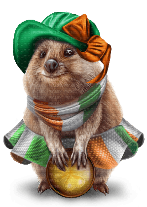 st. Patrick hamster by nataliplus - фрее пнг