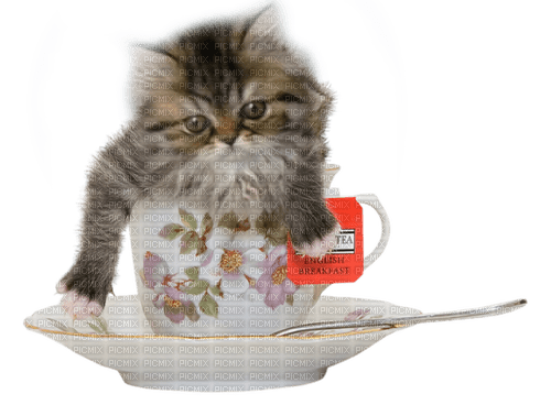dolceluna spring cat vintage deco cup tea - бесплатно png