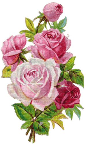 vintage roses - ingyenes png