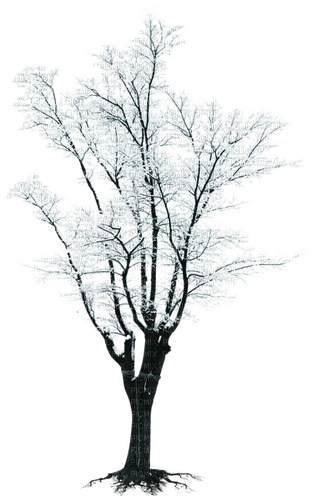 Winter.Tree.Arbre.Árbol.Victoriabea - δωρεάν png
