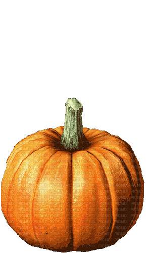 Calabaza de halloween...gif - Ingyenes animált GIF